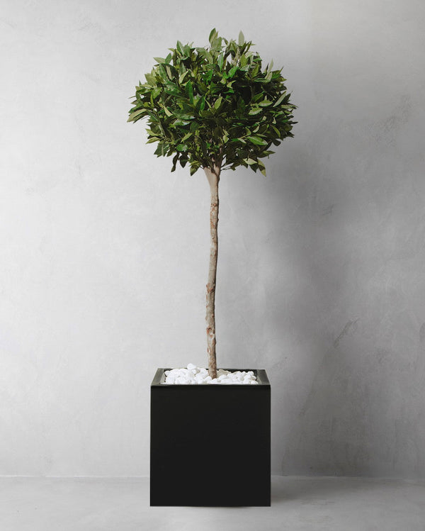 Artificial Standard Bay Tree and Black Sqaure Planter