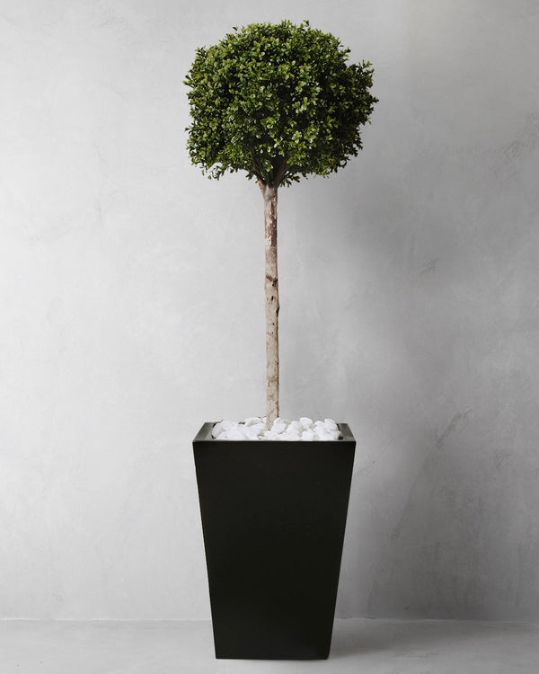 Artifical Buxus Lollipop Ball on Stem Topiary and Black Planter